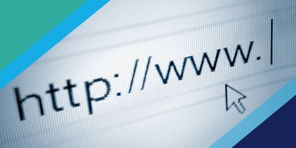 Domain vs. URL